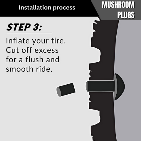 Mushroom Plugs