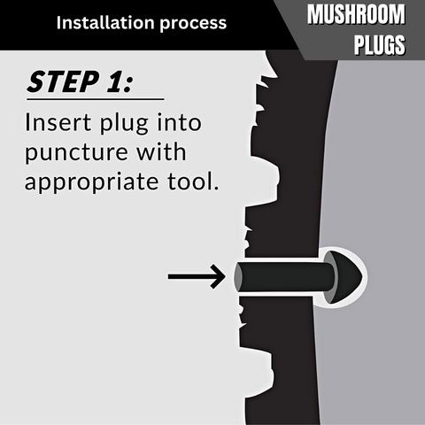 Mushroom Plugs